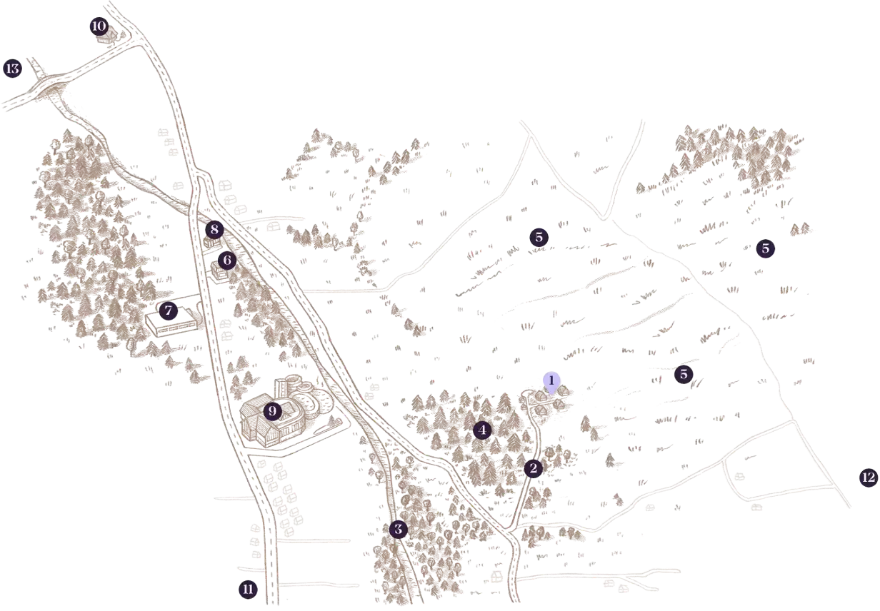 Mapa Okolicy